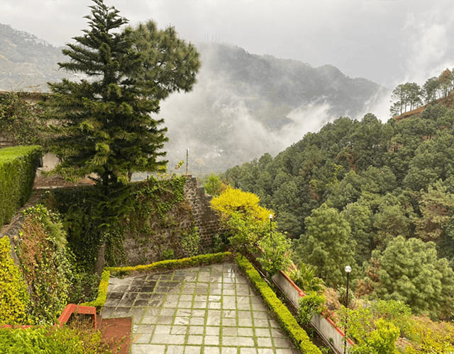 Cloud rolling through the pines above the resort's stone terrace